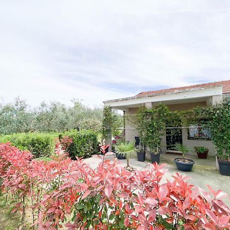 Olive Apartment Podgorica Ngoại thất bức ảnh