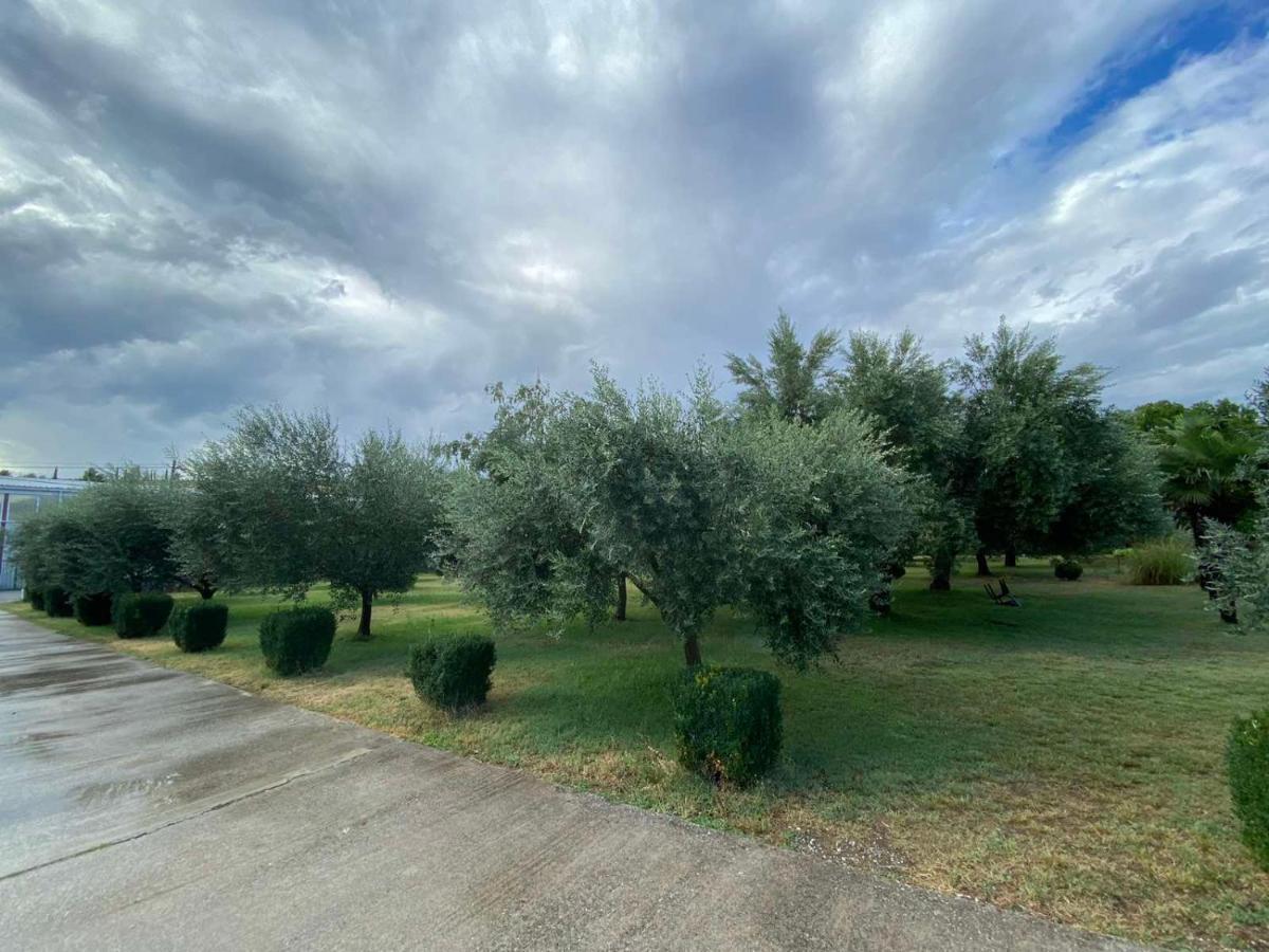 Olive Apartment Podgorica Ngoại thất bức ảnh
