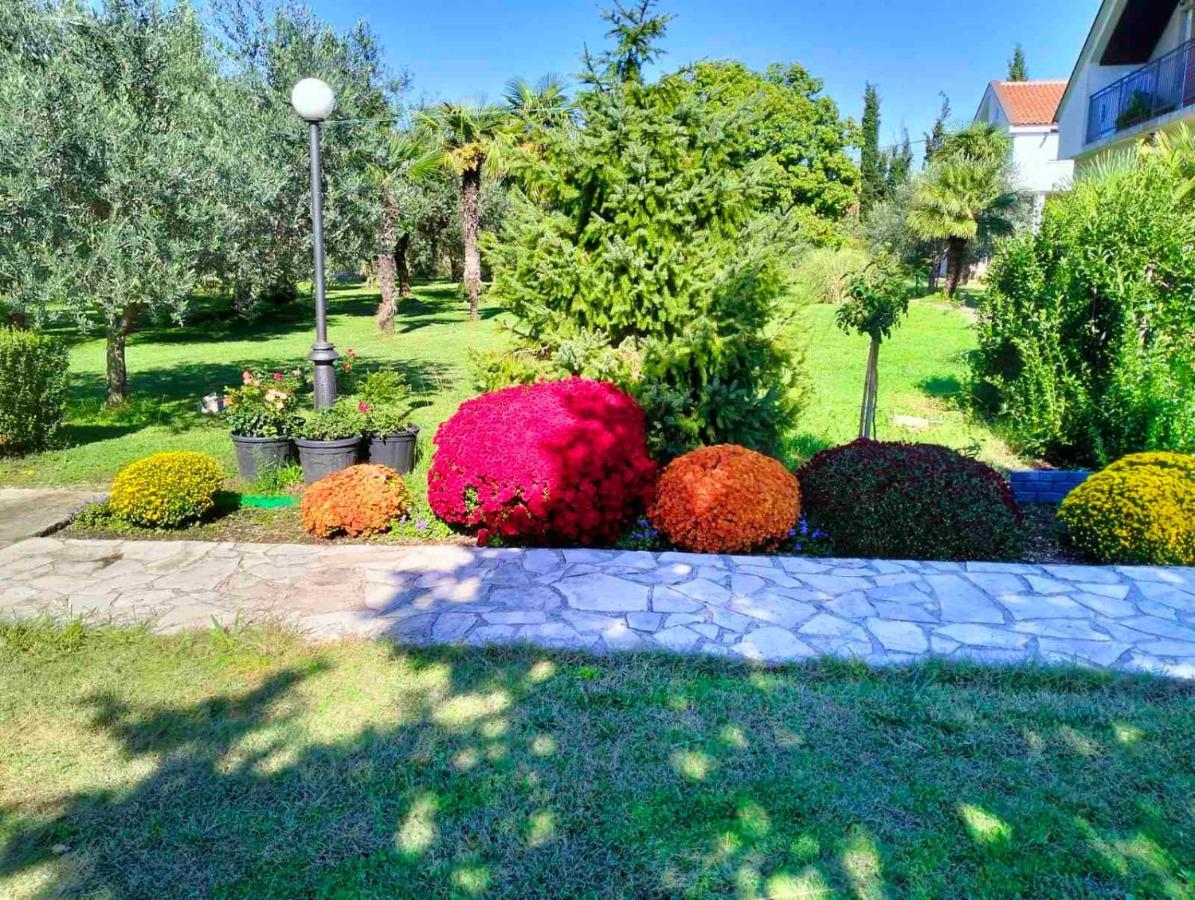 Olive Apartment Podgorica Ngoại thất bức ảnh