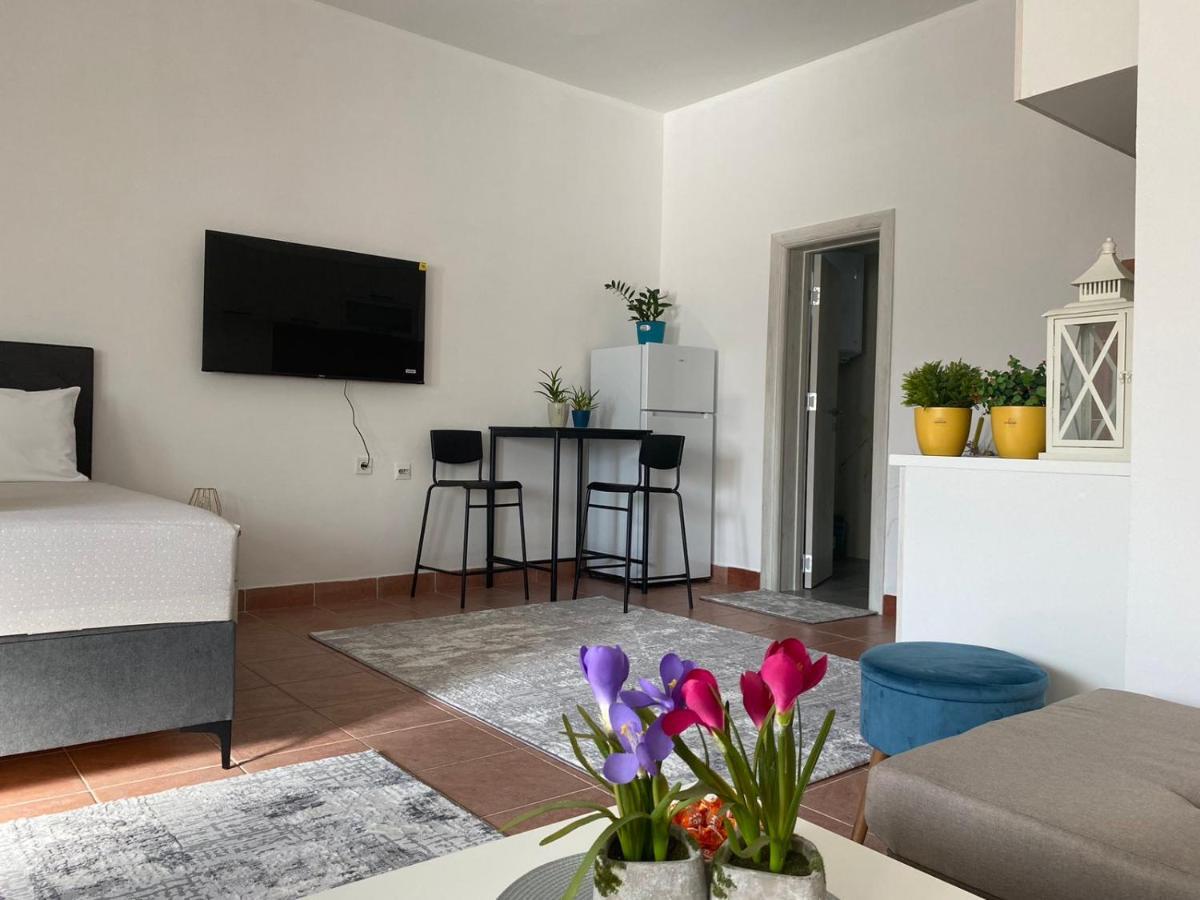 Olive Apartment Podgorica Ngoại thất bức ảnh