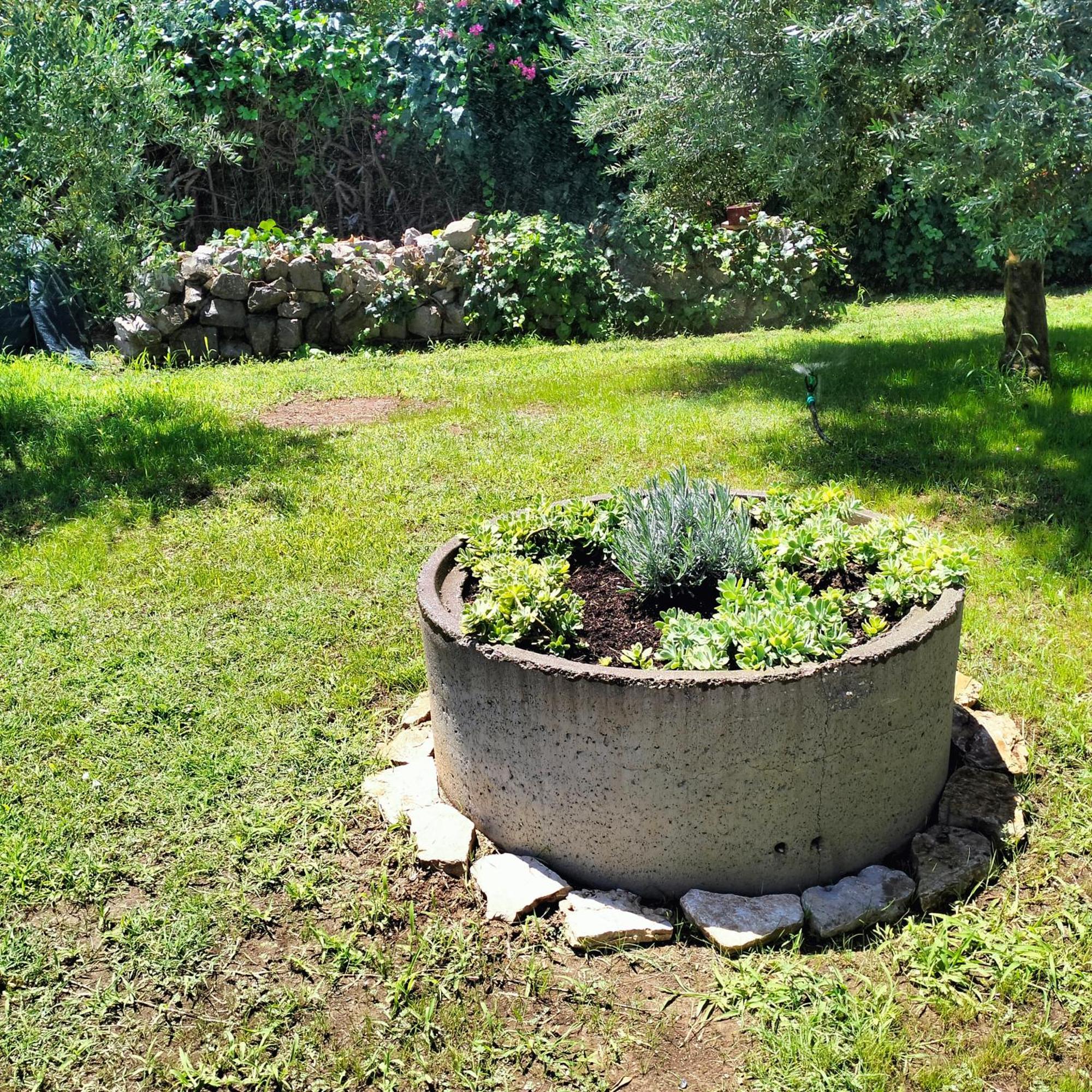 Olive Apartment Podgorica Ngoại thất bức ảnh