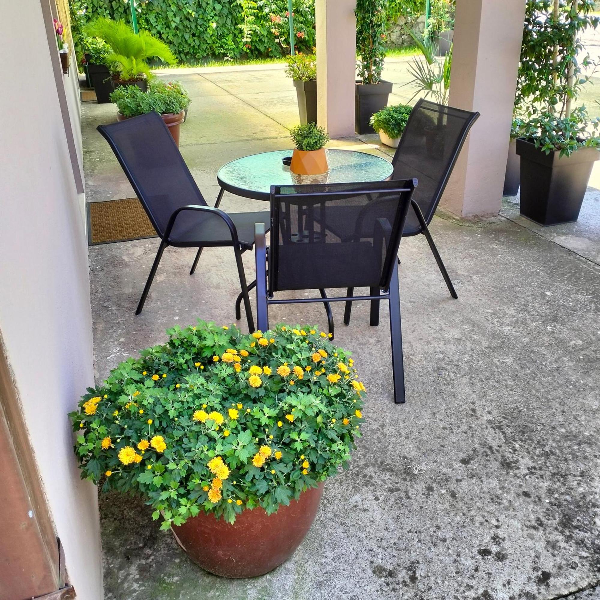 Olive Apartment Podgorica Ngoại thất bức ảnh