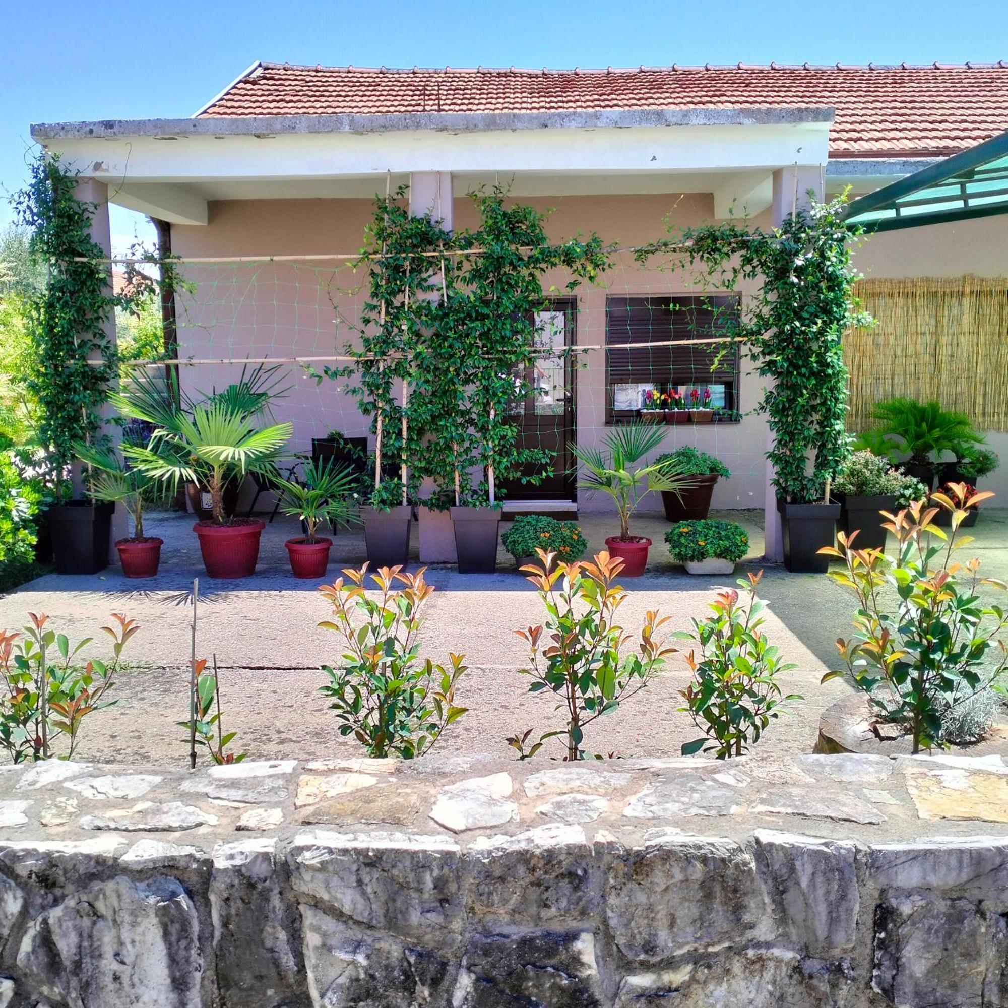 Olive Apartment Podgorica Ngoại thất bức ảnh