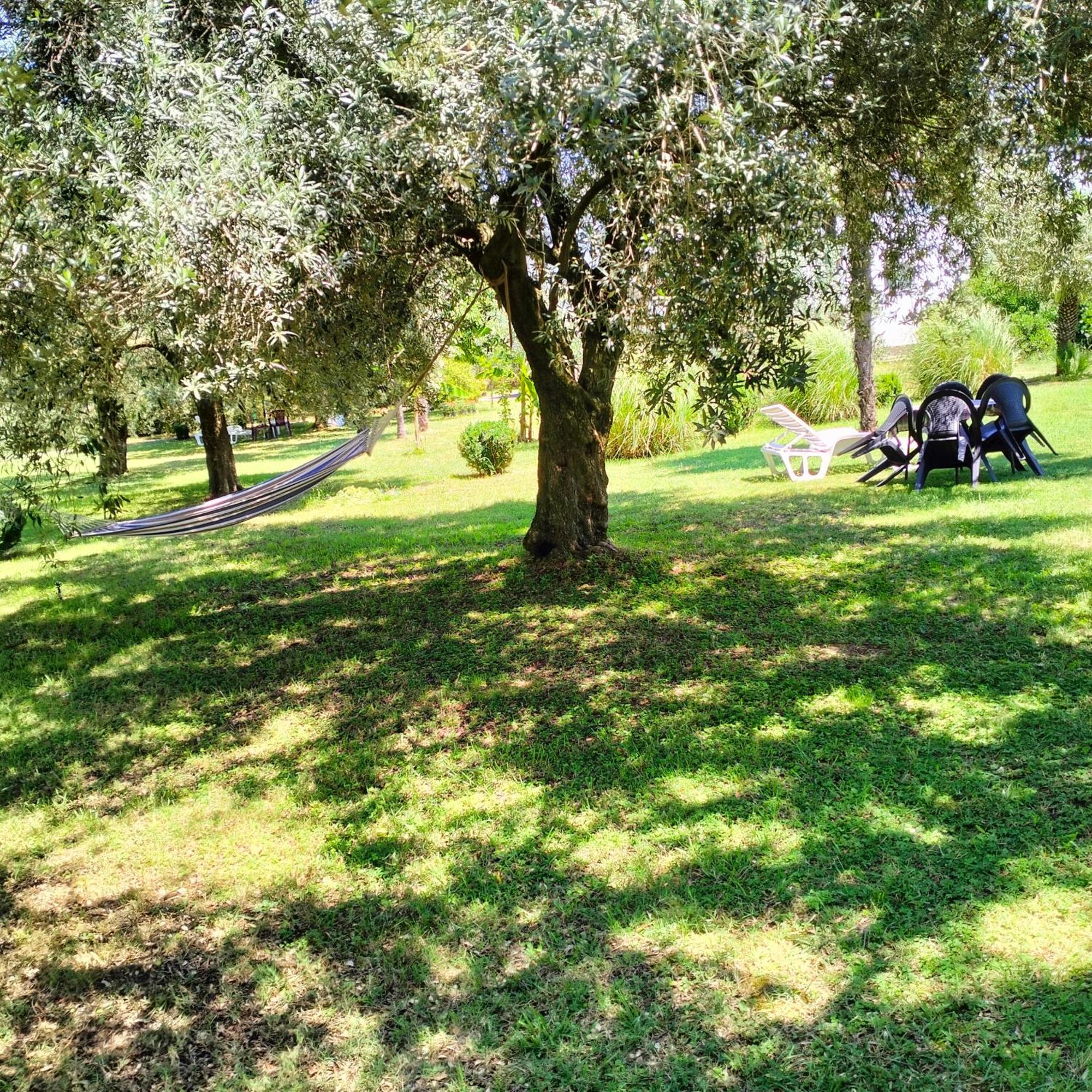 Olive Apartment Podgorica Ngoại thất bức ảnh