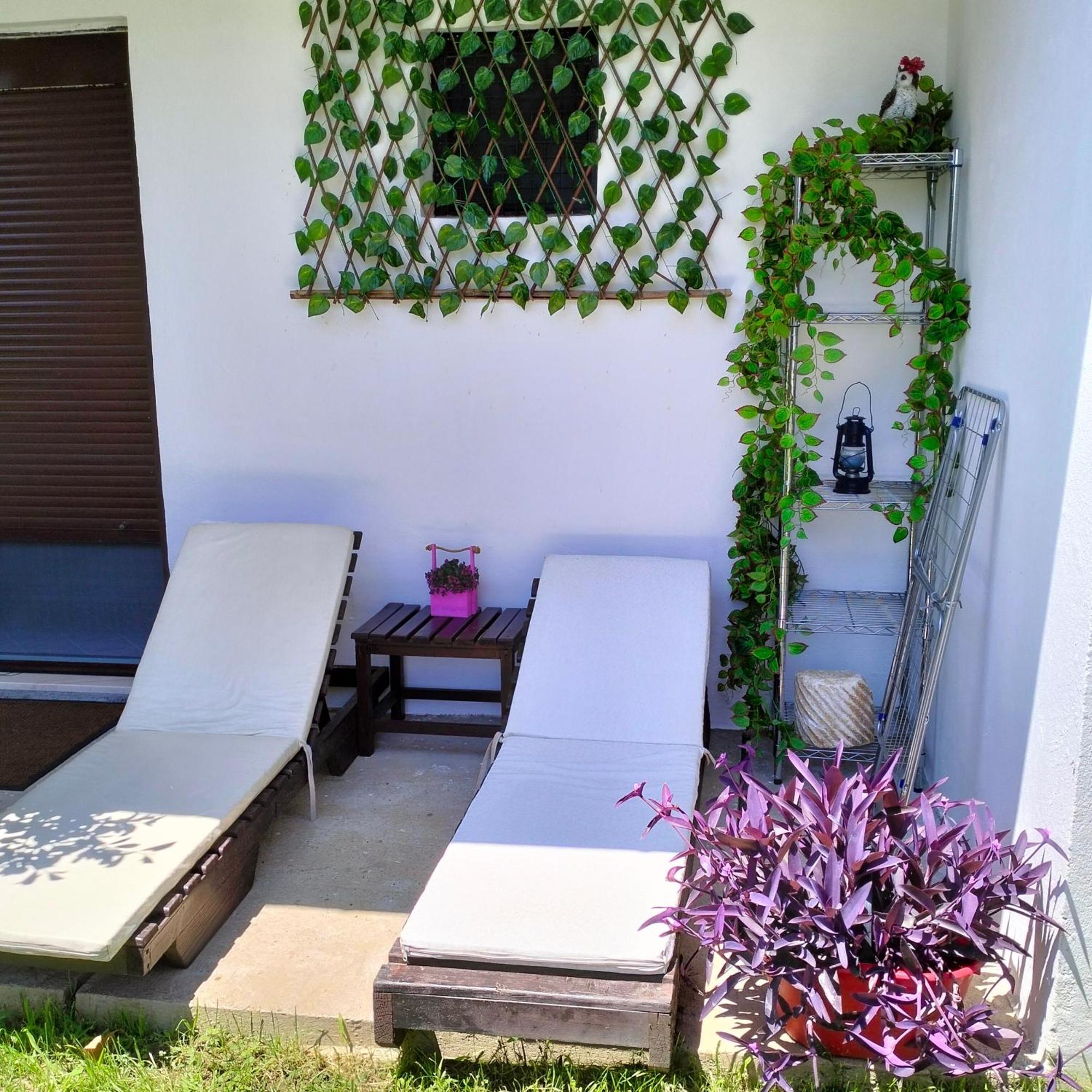 Olive Apartment Podgorica Ngoại thất bức ảnh