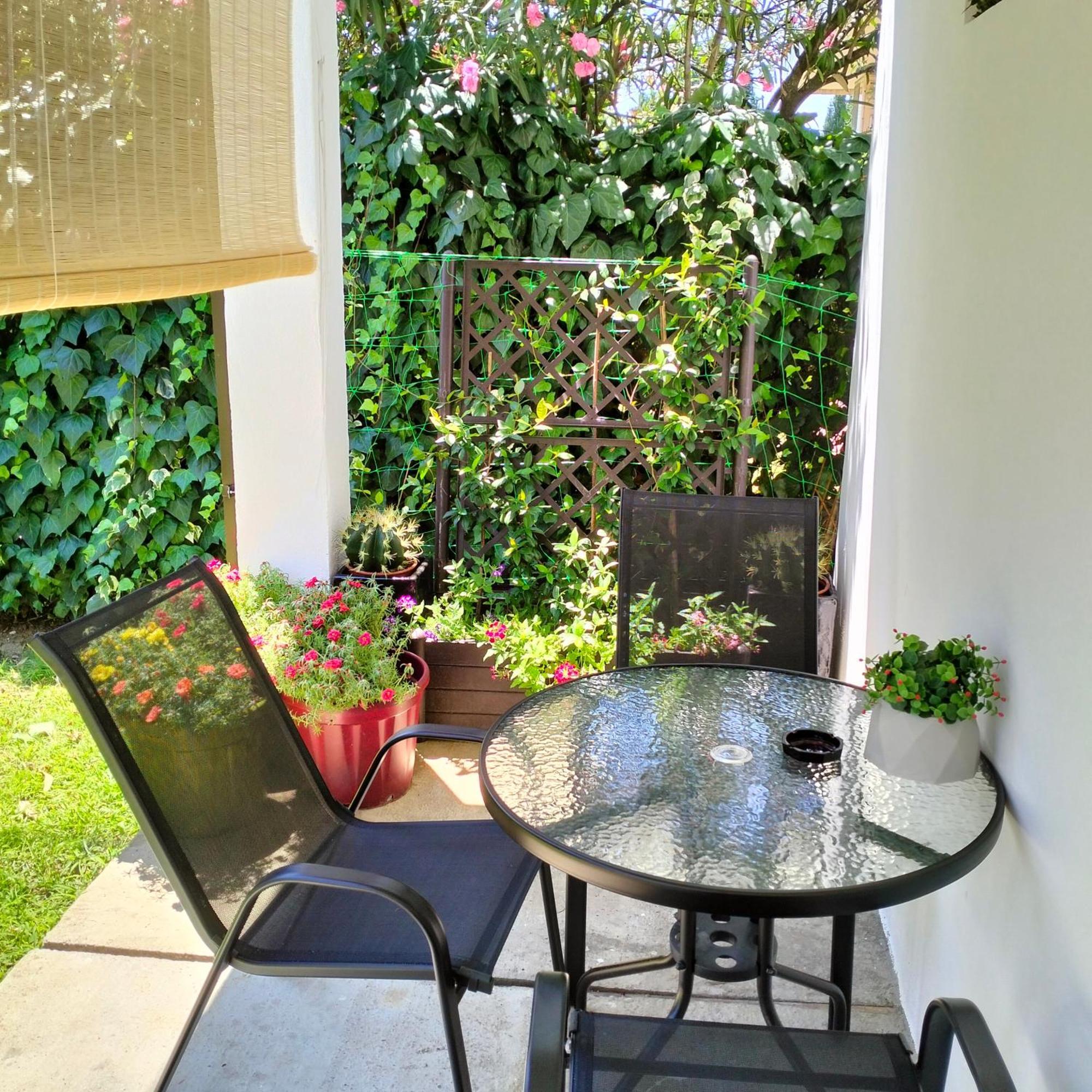 Olive Apartment Podgorica Ngoại thất bức ảnh