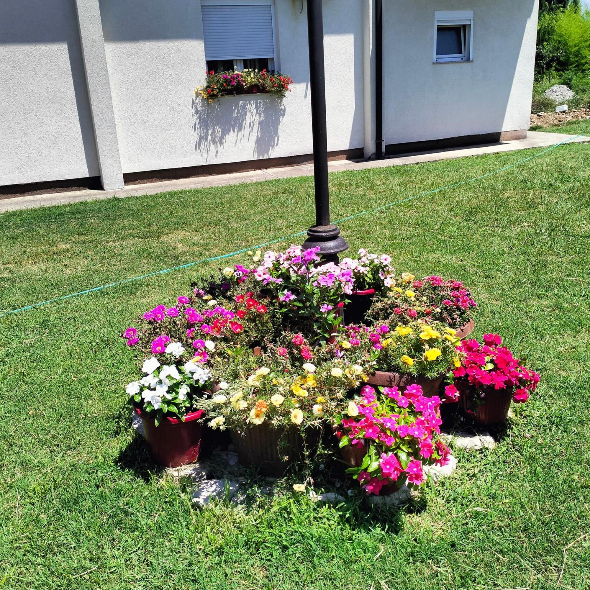 Olive Apartment Podgorica Ngoại thất bức ảnh