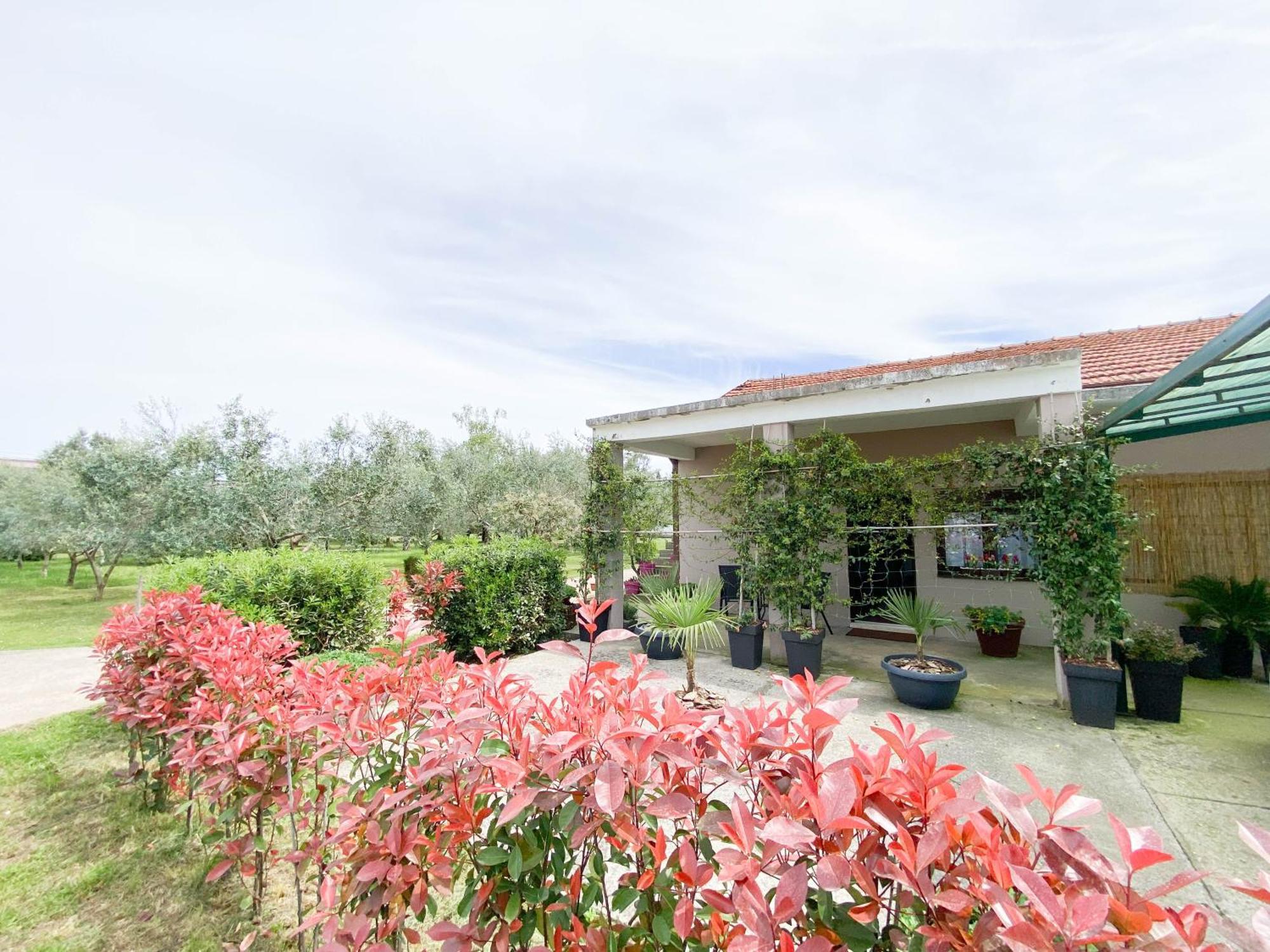 Olive Apartment Podgorica Ngoại thất bức ảnh
